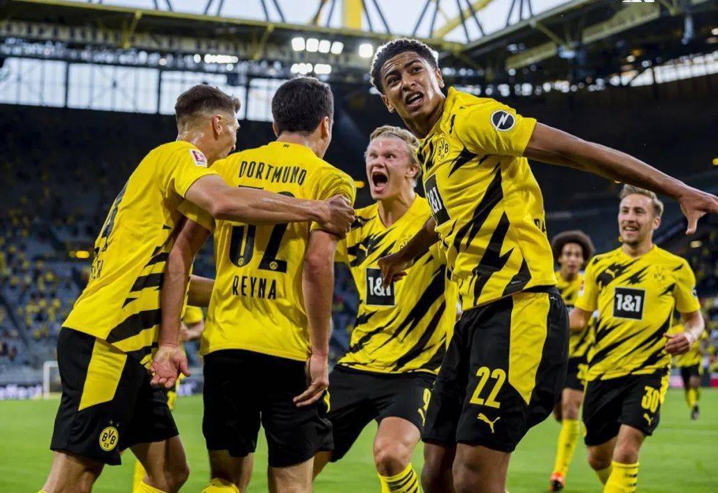 绿色亚冬 绿色亚冬